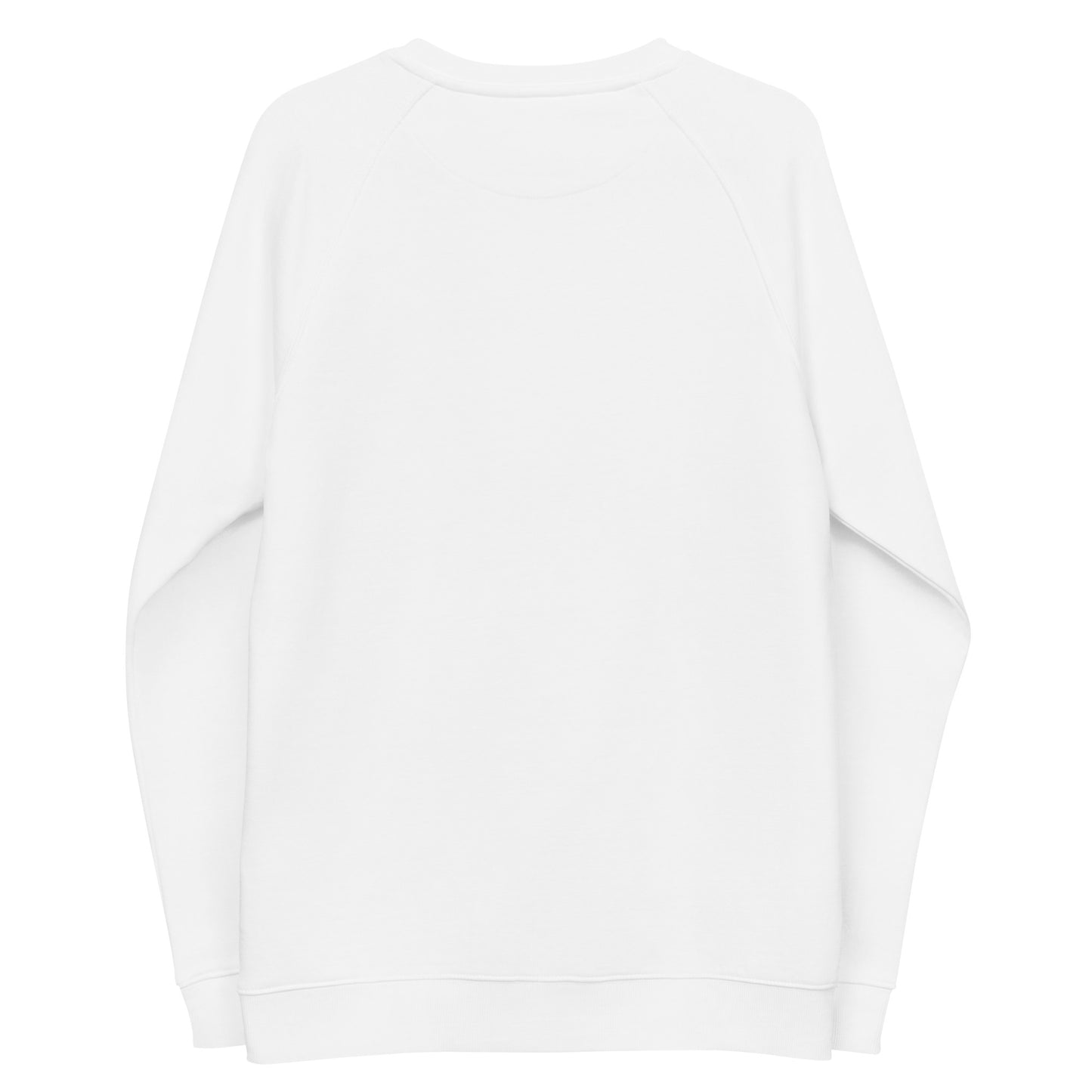 icYouth Embroidered Raglan Crewneck Sweatshirt