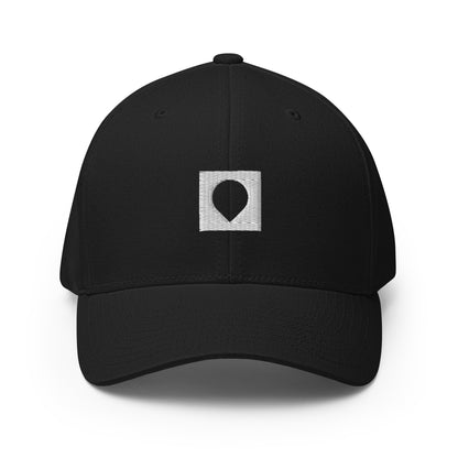 Box Drop Embroidered Fitted Hat